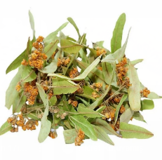 Ihlamur Çayı 🌿 1